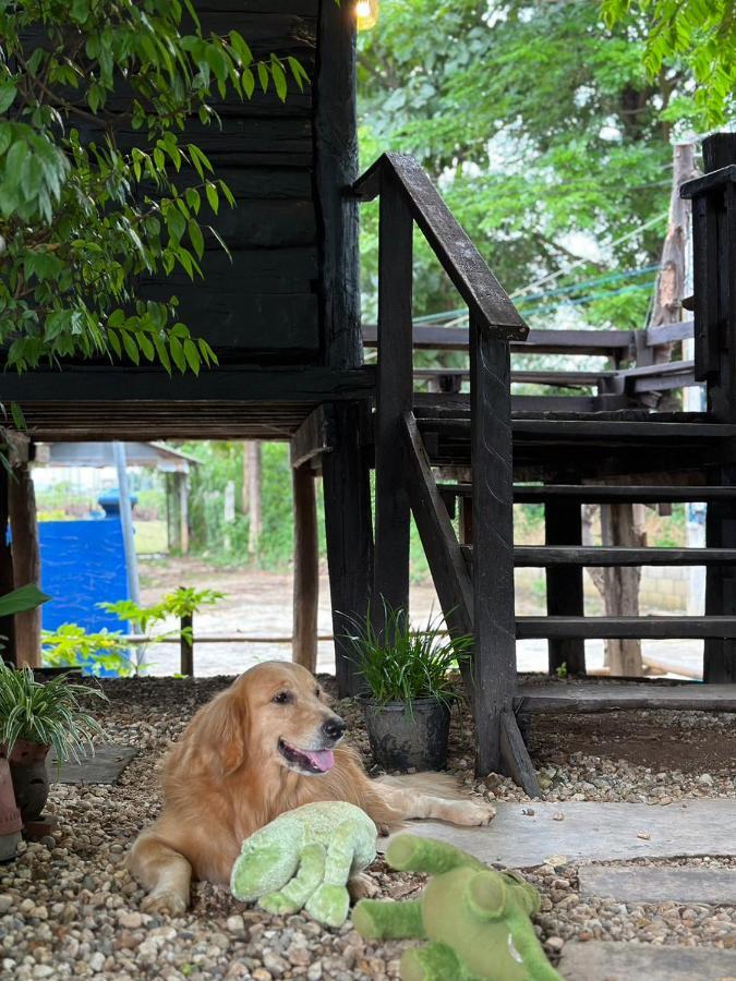 The Legend Homestay. Mae Ai Exterior photo