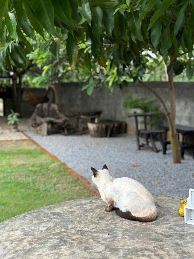 The Legend Homestay. Mae Ai Exterior photo